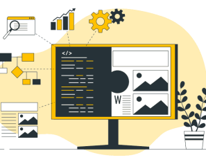 custom software development company